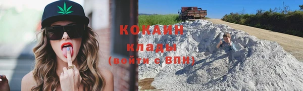 тгк Арсеньев