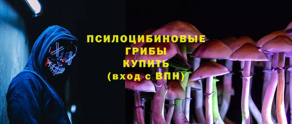 гидра Армянск
