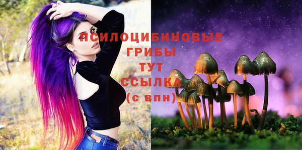 каннабис Аркадак
