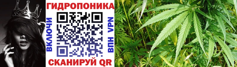Бошки Шишки конопля  mega ссылка  Добрянка  даркнет сайт 